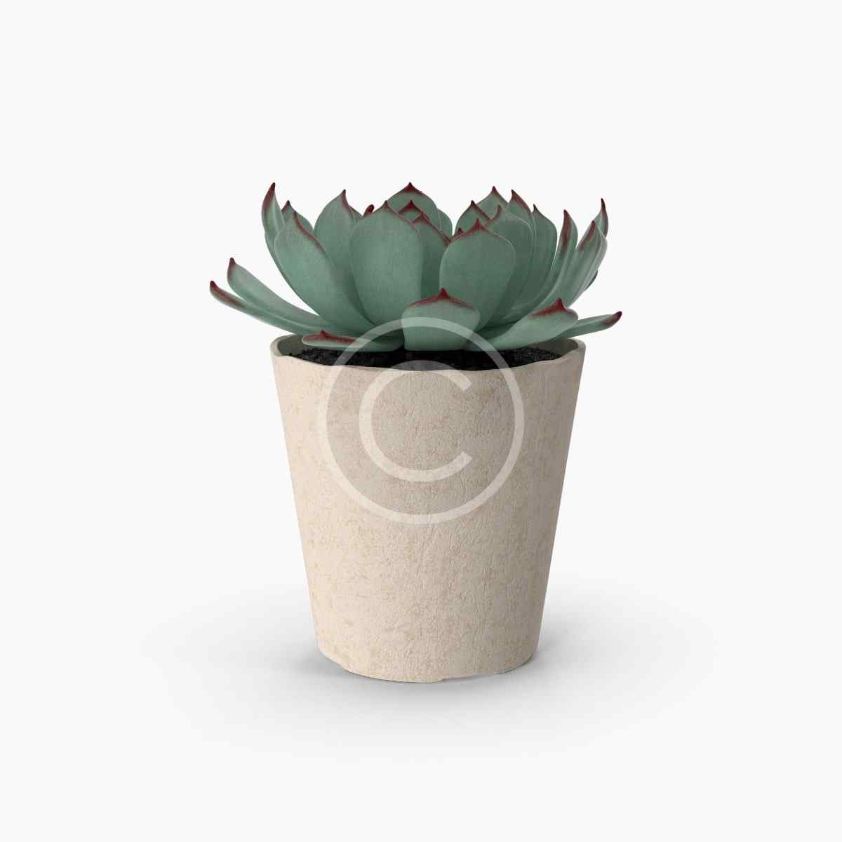 Sport shaker – Image 4